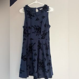 Navy with black velvet burnout flowers